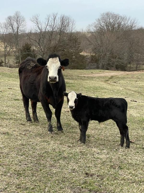 Great Mom and baby