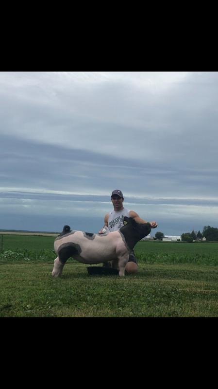 2019 Grand Champion Gilt polk County Fair