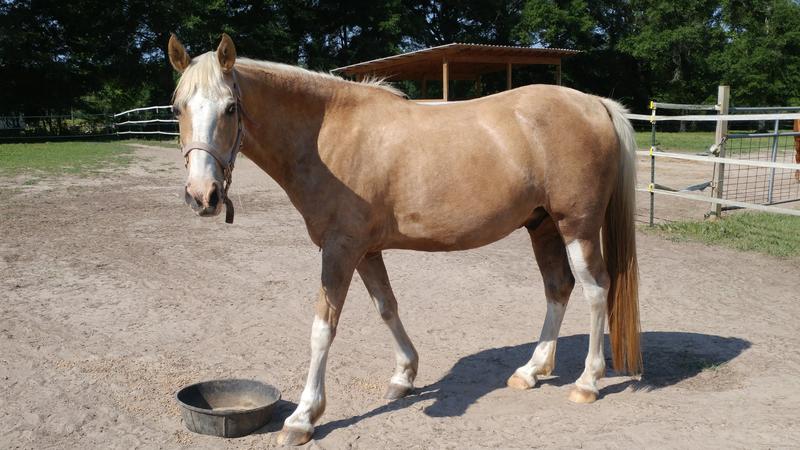 My boy is back! In only 4 months.