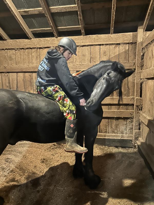 Our sweet boy, loving on the students that ride him often.