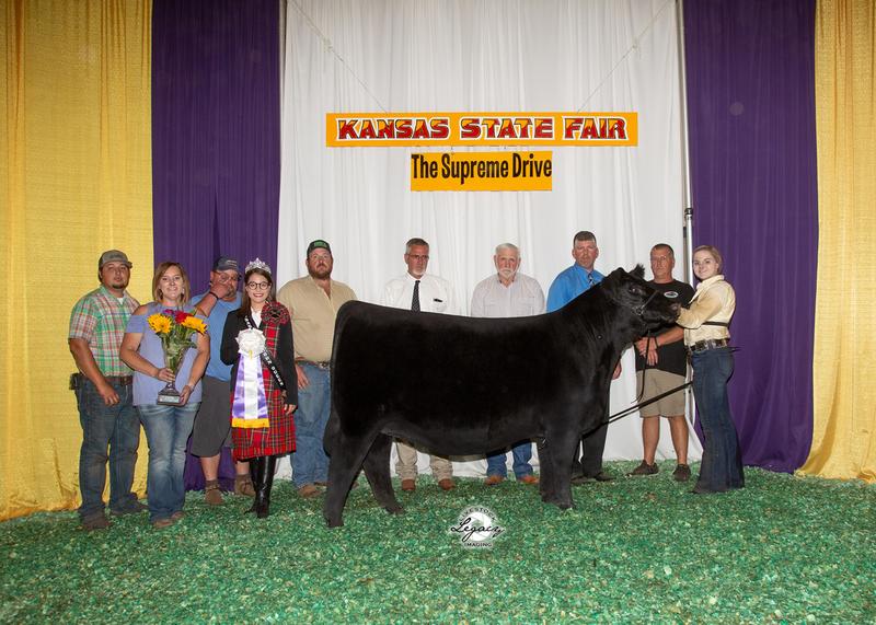 2018 Kansas State Fair Supreme Champion Heifer Hillard Pride Ever 706