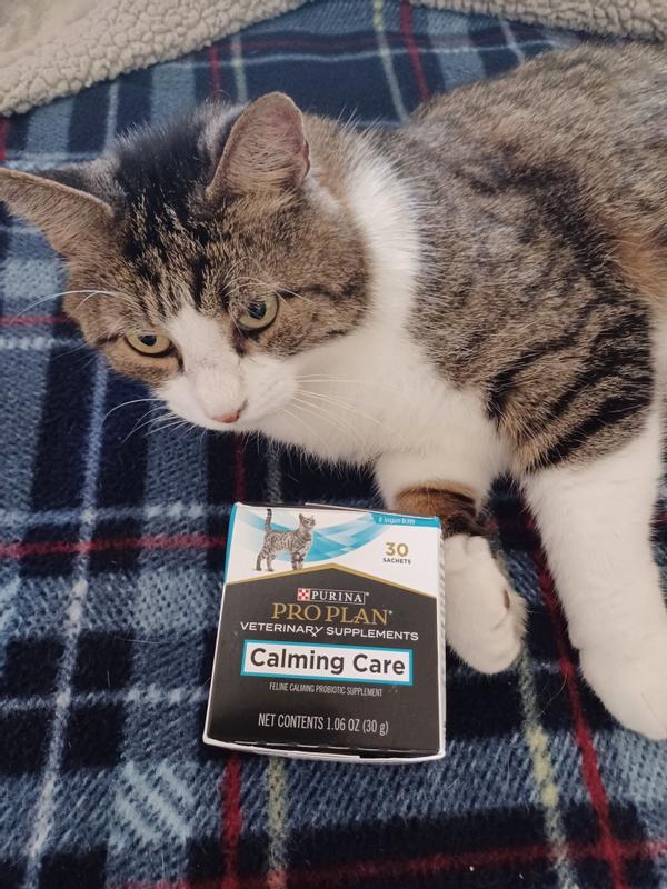 Pro plan clearance calming care reviews