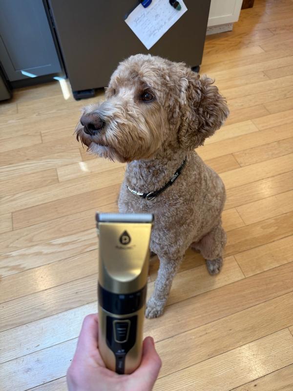 Review Thumbnail Image 2 381442899