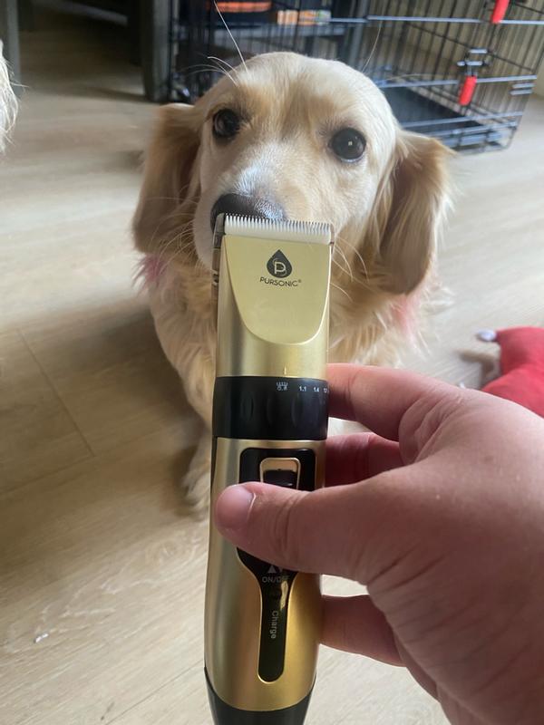 Review Thumbnail Image 0 383482861