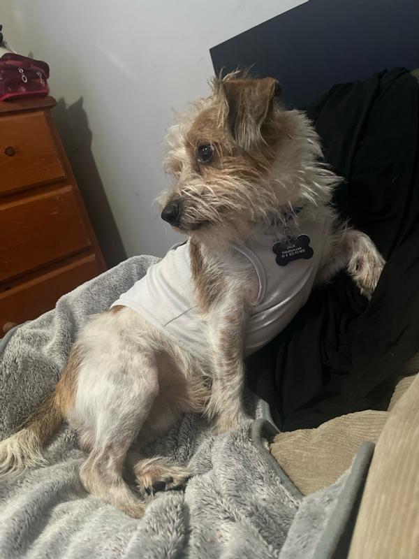 Review Thumbnail Image 1 383482861