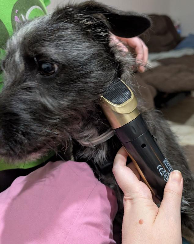 Review Thumbnail Image 1 382026587