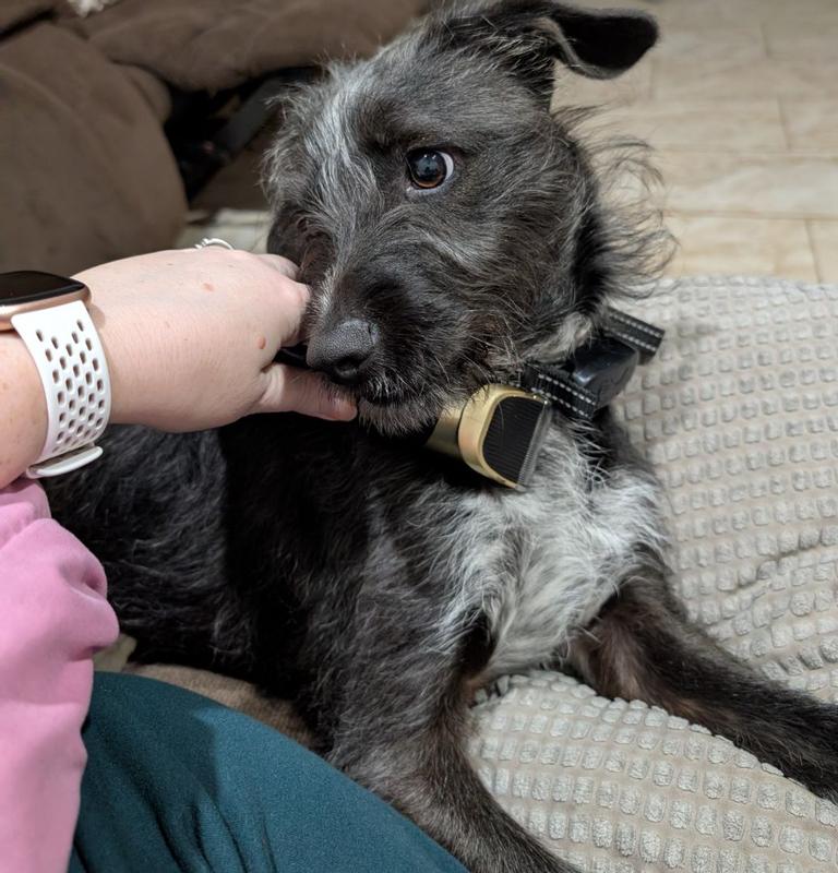 Review Thumbnail Image 0 382026587