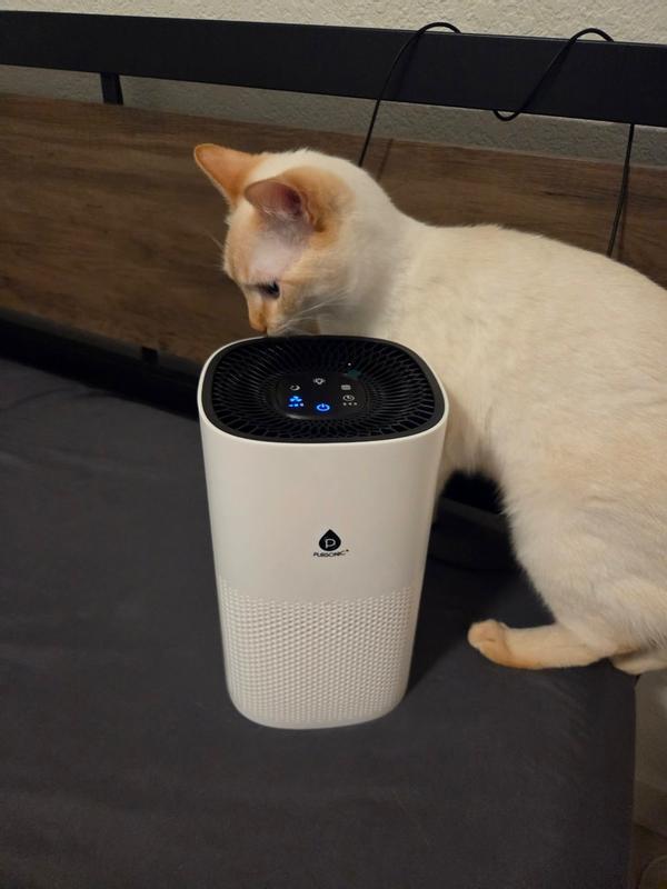 Review Thumbnail Image 1 381696114