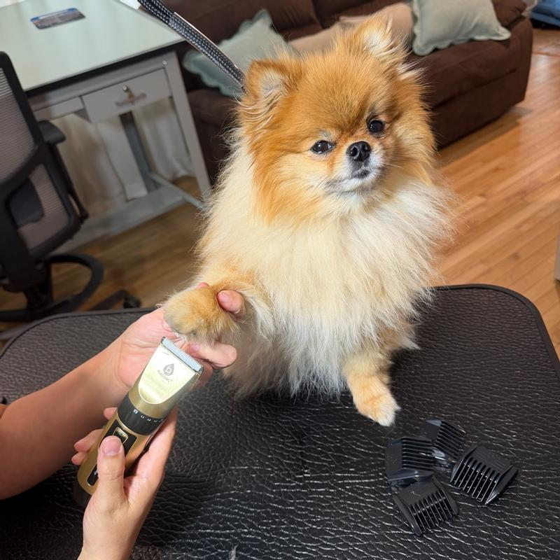 Review Thumbnail Image 0 384387877