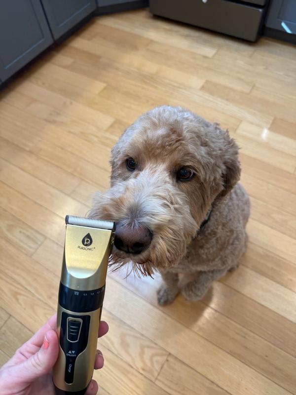 Review Thumbnail Image 0 381442899