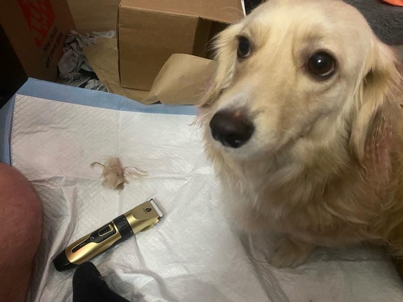 Review Thumbnail Image 2 383482861