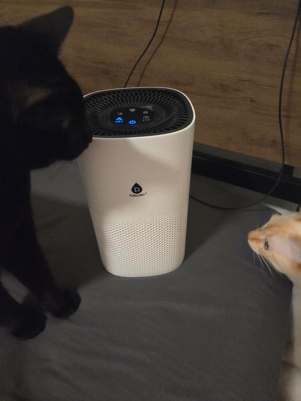 Review Thumbnail Image 0 381696114