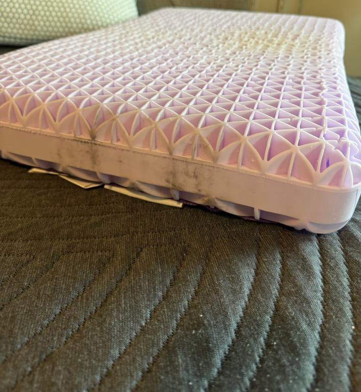 some of the blackened areas that we were concerned could be mold