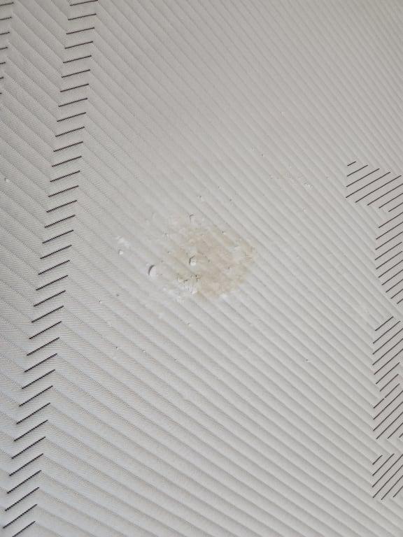 This is the mattress itself.