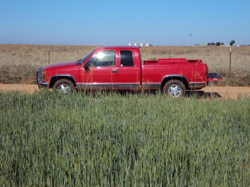my 20 year old farm truck that still runs great with Quaker State Advanced oil checking on my 640 acres of winter wheat