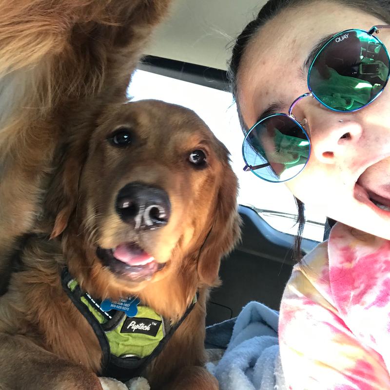 Customer photo for "The Perfect Sunglasses"