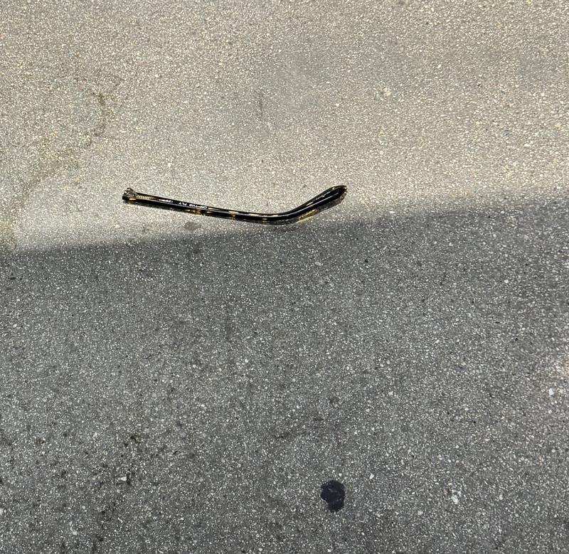 Customer photo for "Disappointing"