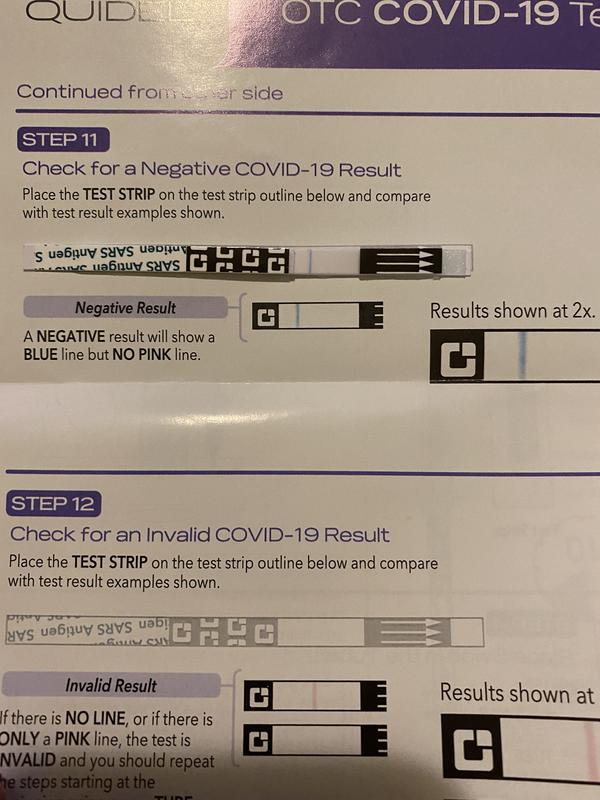 OTC Clearblue Pregnancy Test Weeks Indicator – Pure Integrative