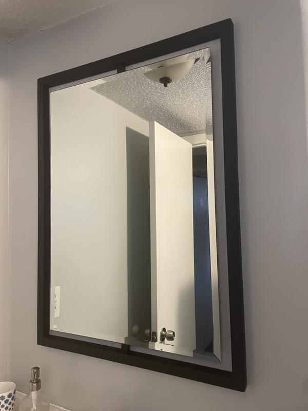 Quoizel Reflections 24-in W x 32-in H Brushed Nickel Beveled