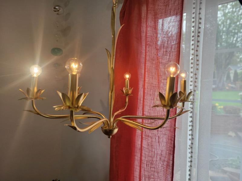 Quoizel Maria 6-Light Gold Traditional Led, Damp Rated