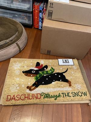 DII Dachshund Through The Snow Doormat