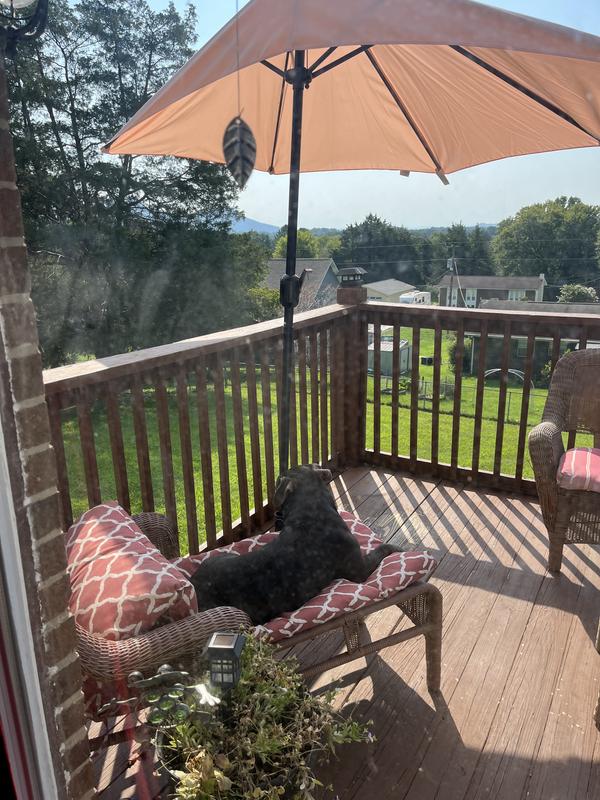 Garden Reflections 9' Half-Round Patio Umbrella - QVC.com