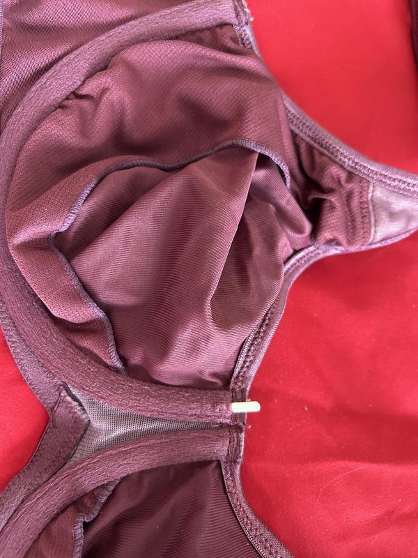 Breezies Wild Rose Seamless Underwire Support Bra -Core - QVC.com
