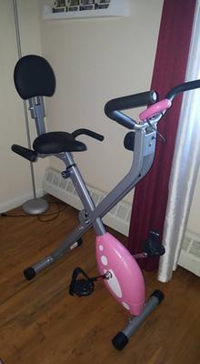 Sunny Health & Fitness Pink Folding Recumbent Bike 