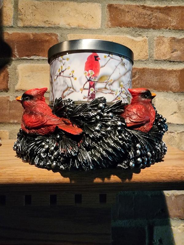 HomeWorx by Slatkin + Co. Cardinal Pedestal w/ 18oz Candle - QVC.com