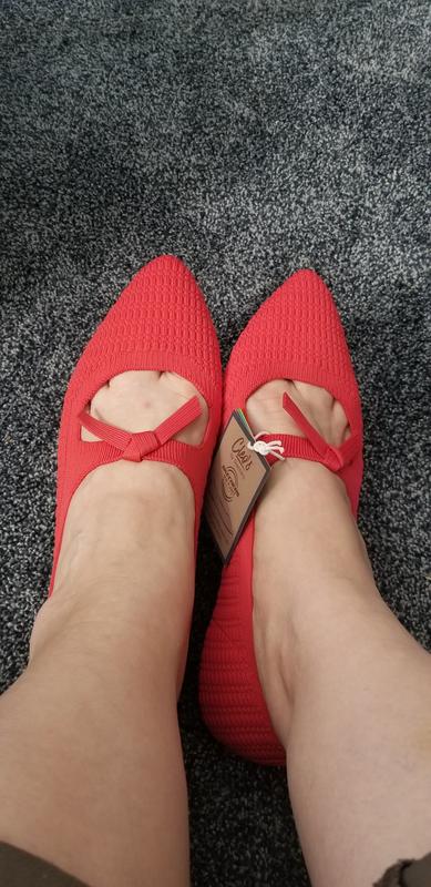 Skechers Cleo Point Washable Recycled Knit Flats Nostalgic Days