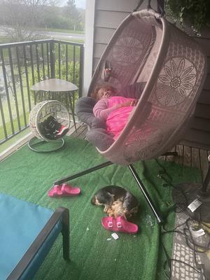 Pumpkin loveseat swing hot sale