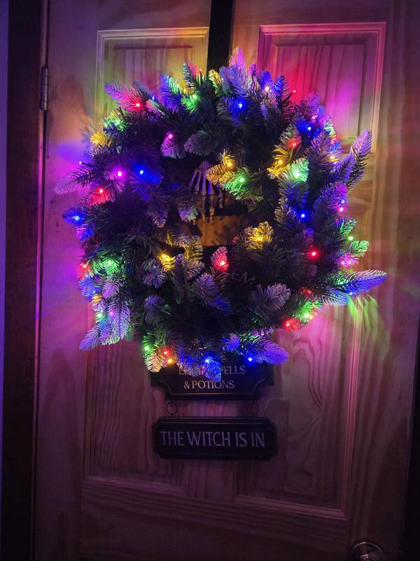 マリモ❗️リリパット341☆ CHRISTMAS LIGHTS AT THE 🍂🍃