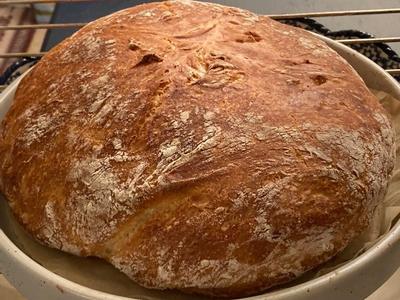  KitchenAid® Bread Bowl with Baking Lid,5 Quart: Home & Kitchen
