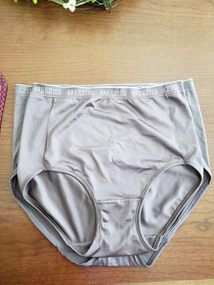 MEDIUM STERLING A287799 Breezies Set of 4 Nylon Microfiber Brief Panty –  Christina's Clothing