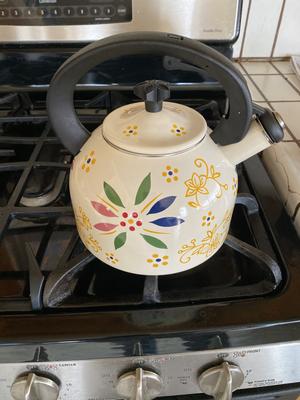 Temp-tations 2.3-qt Enamel on Steel Holiday Tea Kettle 