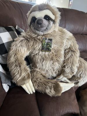 Sloth Natural Realistic Medium Stuffed Animals Brands National Geographic  Germany - Epatoys