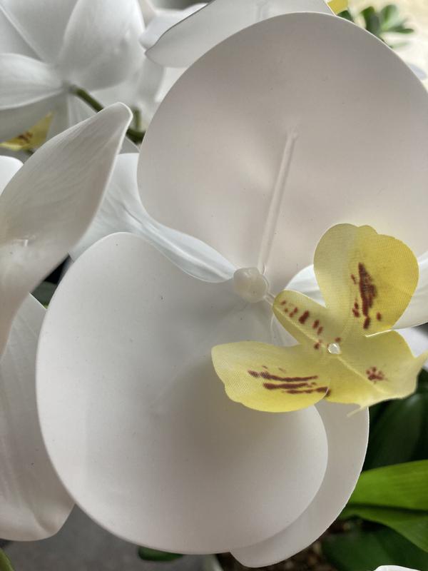 ABELLA Flora knstliche Orchidee Realtouch-Blten Designtopf  Farb-/Grenauswahl - QVC.de