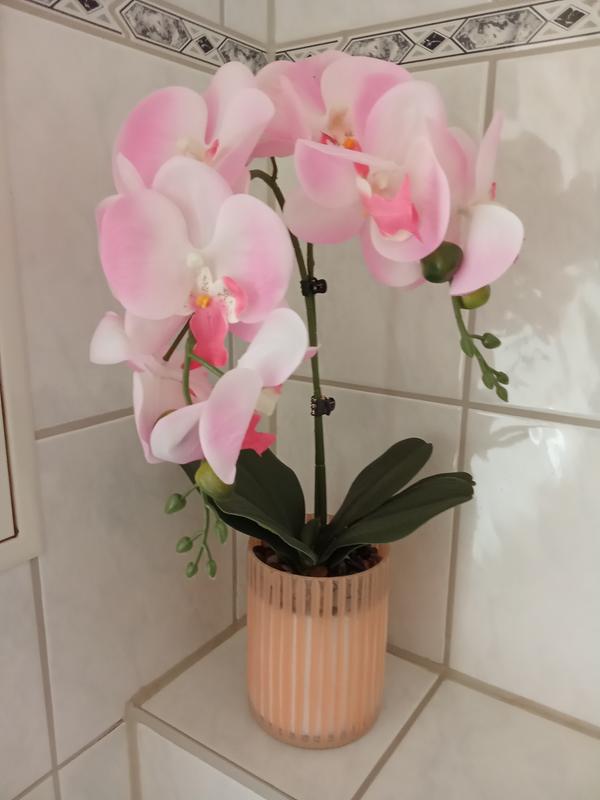 ABELLA Flora knstliche Orchidee farbige Glasvase Hhe 51cm - QVC.de