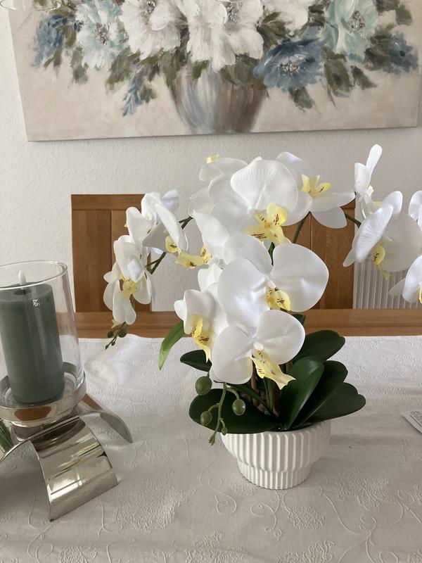 ABELLA Flora knstliche Orchidee Realtouch-Blten Designtopf  Farb-/Grenauswahl - QVC.de