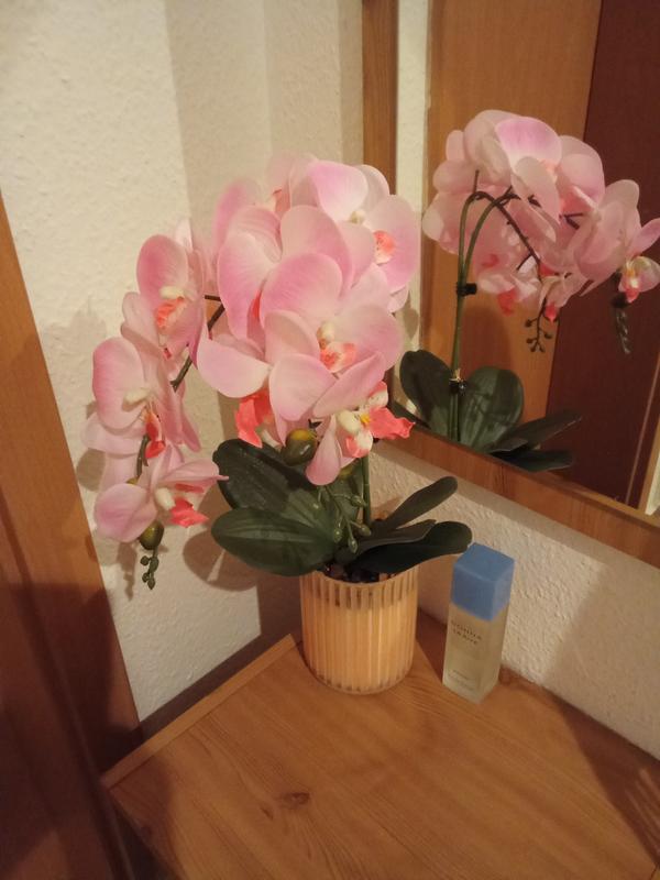ABELLA Flora knstliche Orchidee farbige Glasvase Hhe 51cm - QVC.de