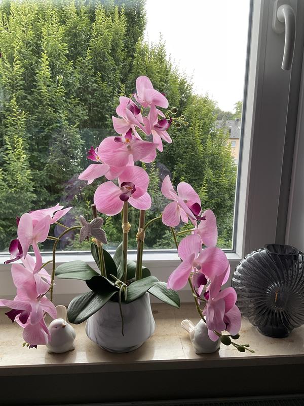 balkon pflanztopf Pflanztopf Kunststoff – Robuster Blumentopf für Garten & Balkon – Flora  Boost