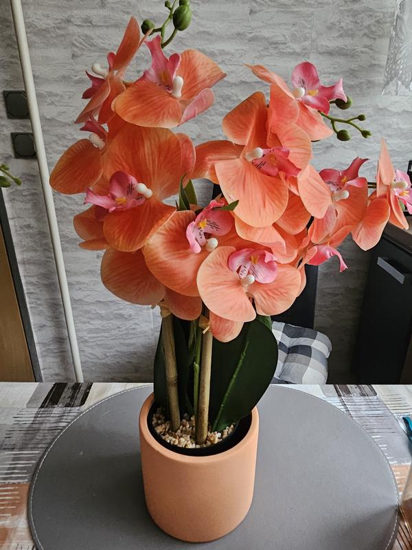 ABELLA Flora knstliche Orchidee Realtouch-Blten Topf auswechselbar  Farb-/Grenauswahl - QVC.de