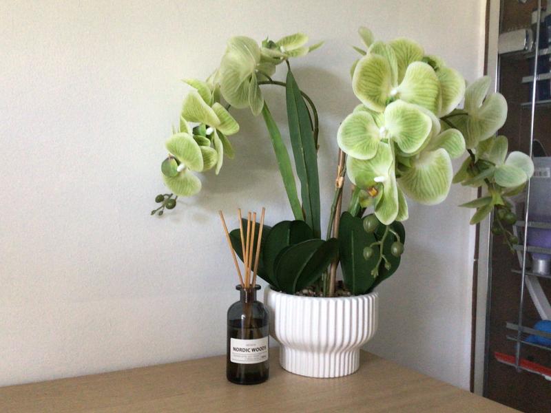 ABELLA Flora knstliche Orchidee Realtouch-Blten Designtopf  Farb-/Grenauswahl - QVC.de