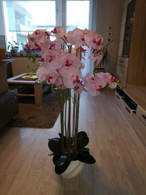 ABELLA Flora Orchideenbaum natrliche Haptik Designtopf Grenauswahl -  QVC.de