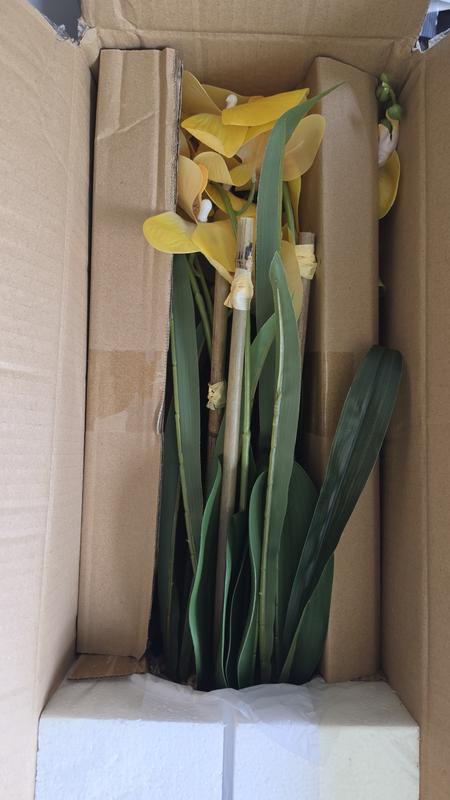 ABELLA Flora knstliche Orchidee Realtouch-Blten Topf auswechselbar  Farb-/Grenauswahl - QVC.de