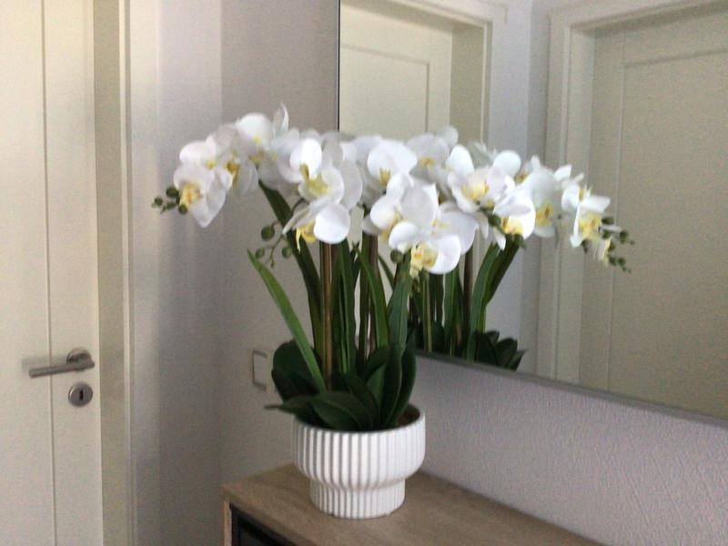 ABELLA Flora knstliche Orchidee Realtouch-Blten Designtopf  Farb-/Grenauswahl - QVC.de