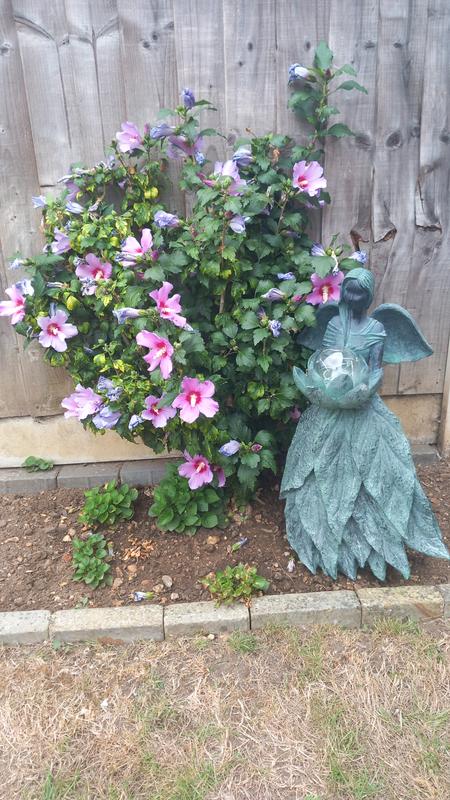 Garden Reflections Leaf Angel with LED Flower QVC UK