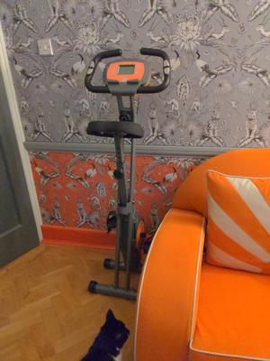 Davina Fitness Folding Magnetic Exercise Bike QVC UK