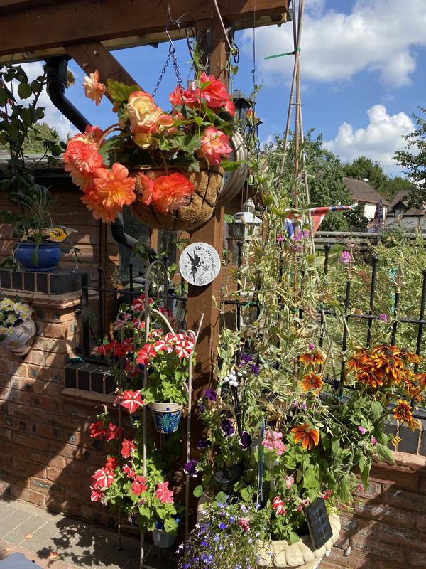 Richard Jackson's Flower Power Premium Gardening Heroes Kit - QVC UK