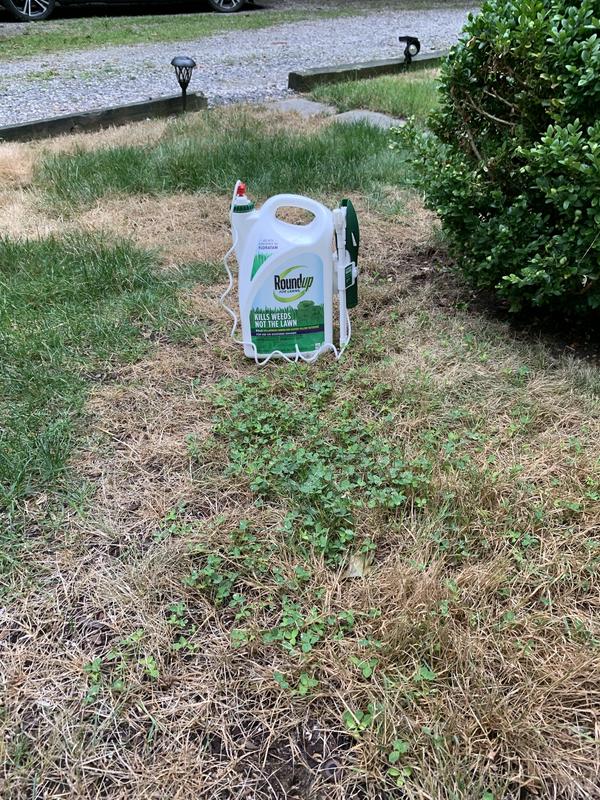 Roundup for deals lawns weed killer